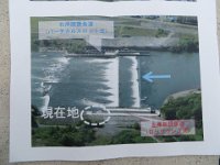 img (162)